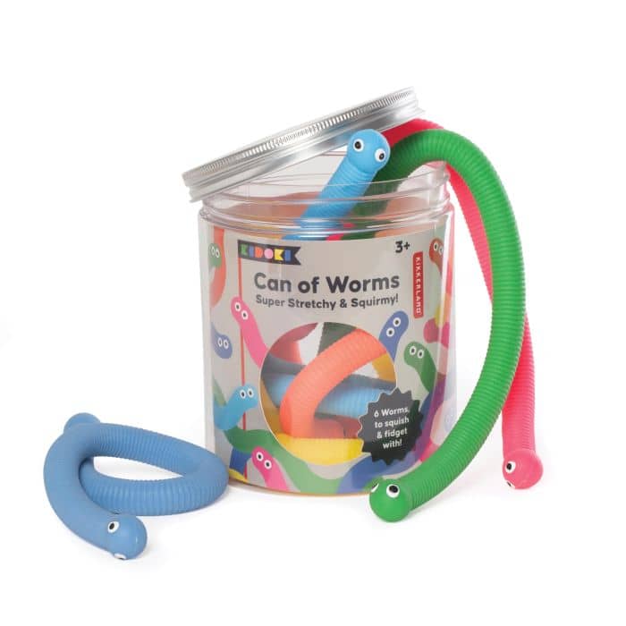 Colorful stretchy worms with a can labeled 'Can of Worms' on a white background