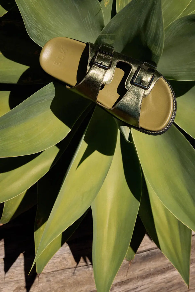 Gold sandal on a large green leaf